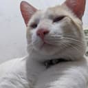 EvertonKleiton_'s avatar