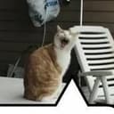 nftWorkCrypto's avatar