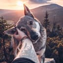 quangkhai91525's avatar