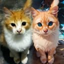 chunli1539106's avatar