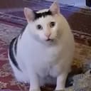 MoyMoy85767848's avatar